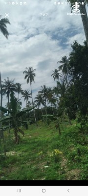 Land for Sale in Ahangama - Property sale in Ahangama